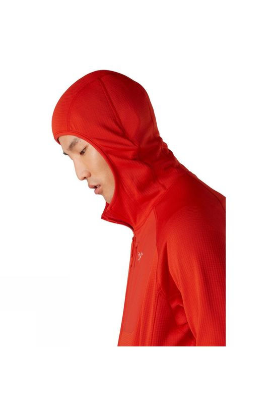 Arc'teryx Mens Delta MX Hoody Dynasty