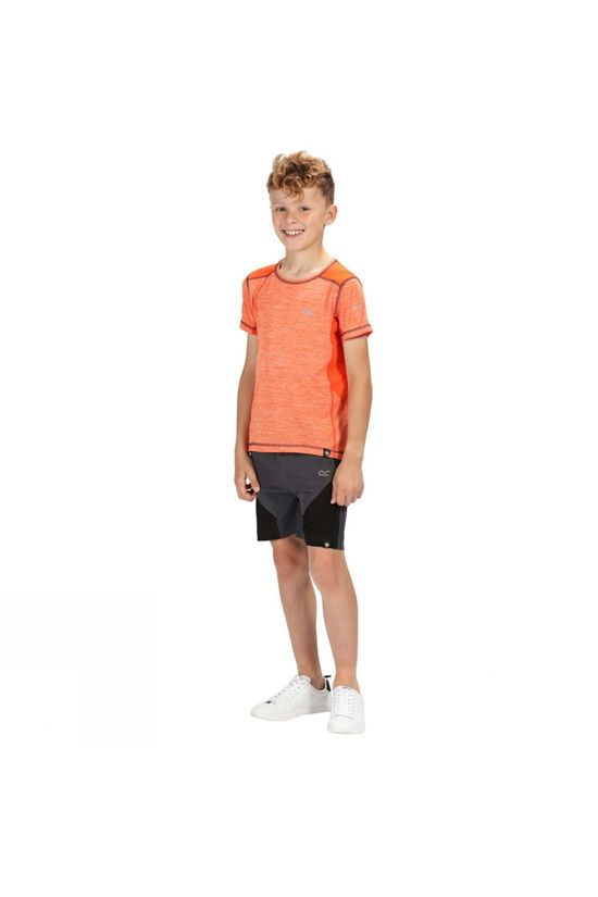 Regatta Kids Sorcer Mountain Shorts Seal Grey/Black